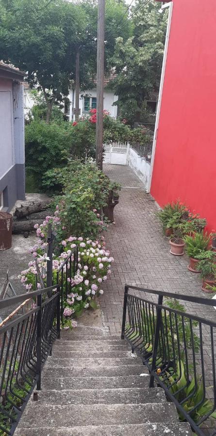 Stan Za Iznajmuvanje So Parking,Blisku Do Centar. Kumanovo Eksteriør billede